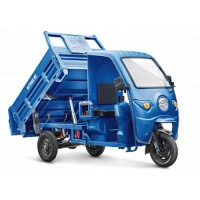 Грузовой электротрицикл Rutrike D5 КАБИНА гидравлика 1700 60V1200W Синий