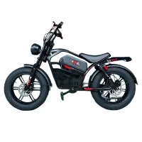 Электровелосипед Wolong V2 Pro