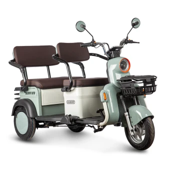 Электротрицикл Rutrike Gelbert Beta 48V/60V 800Вт Зелено-белый