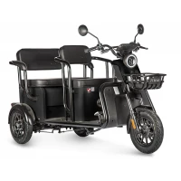 Электротрицикл Wanshida LC300 60V 1000Вт Черный