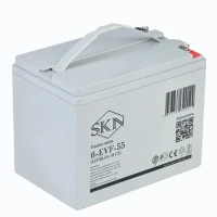 Тяговый аккумулятор Rutrike SKN 6-EVF-55 (12V58.5A/H C5)